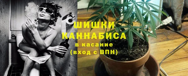 эйфоретик Новодвинск